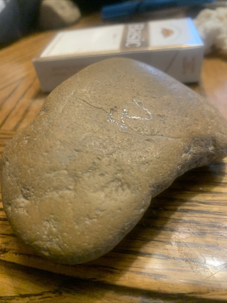 Fossils