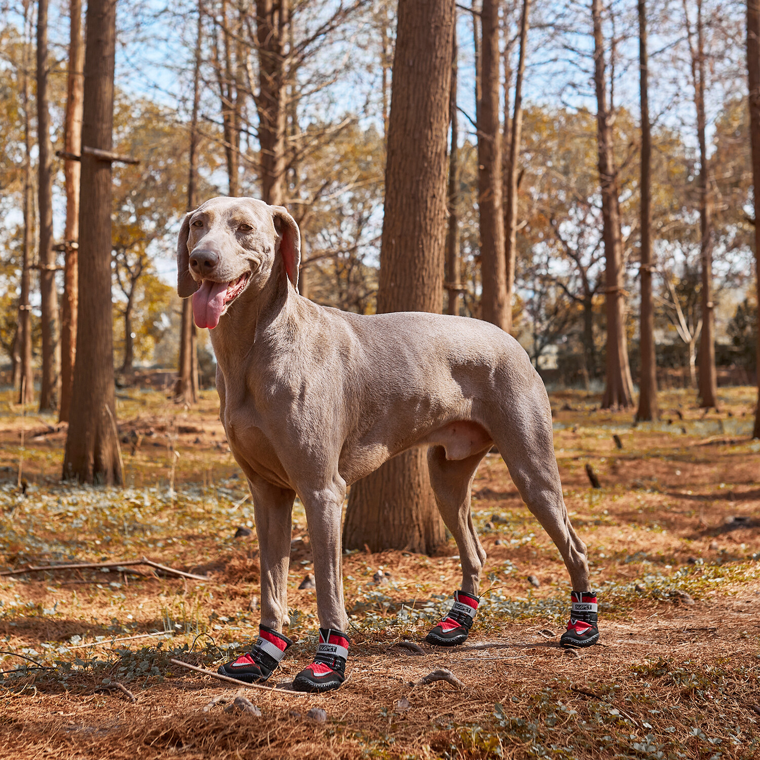 4Pcs Mesh Dog Shoes Boots Paw Protector Reflective Anti-slip Red /Black