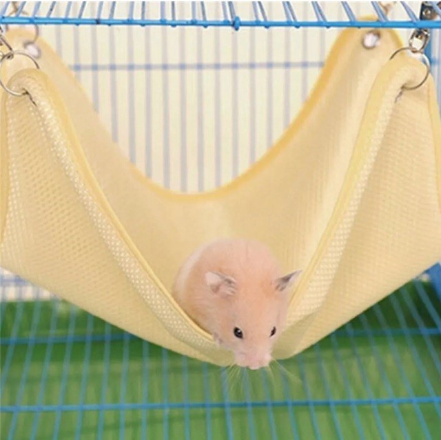 Hamster Paradise Hammock and Toy Set
