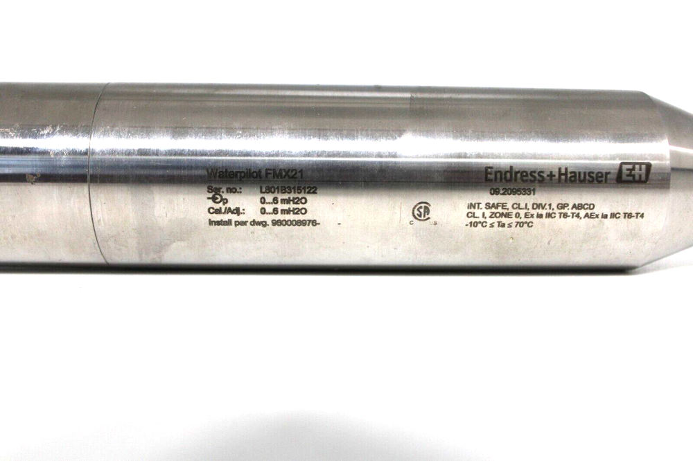 Endress + Hauser Waterpilot FMX21-ALA7/0 Level Probe