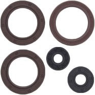 Vertex 822002 Oil Seal Kit