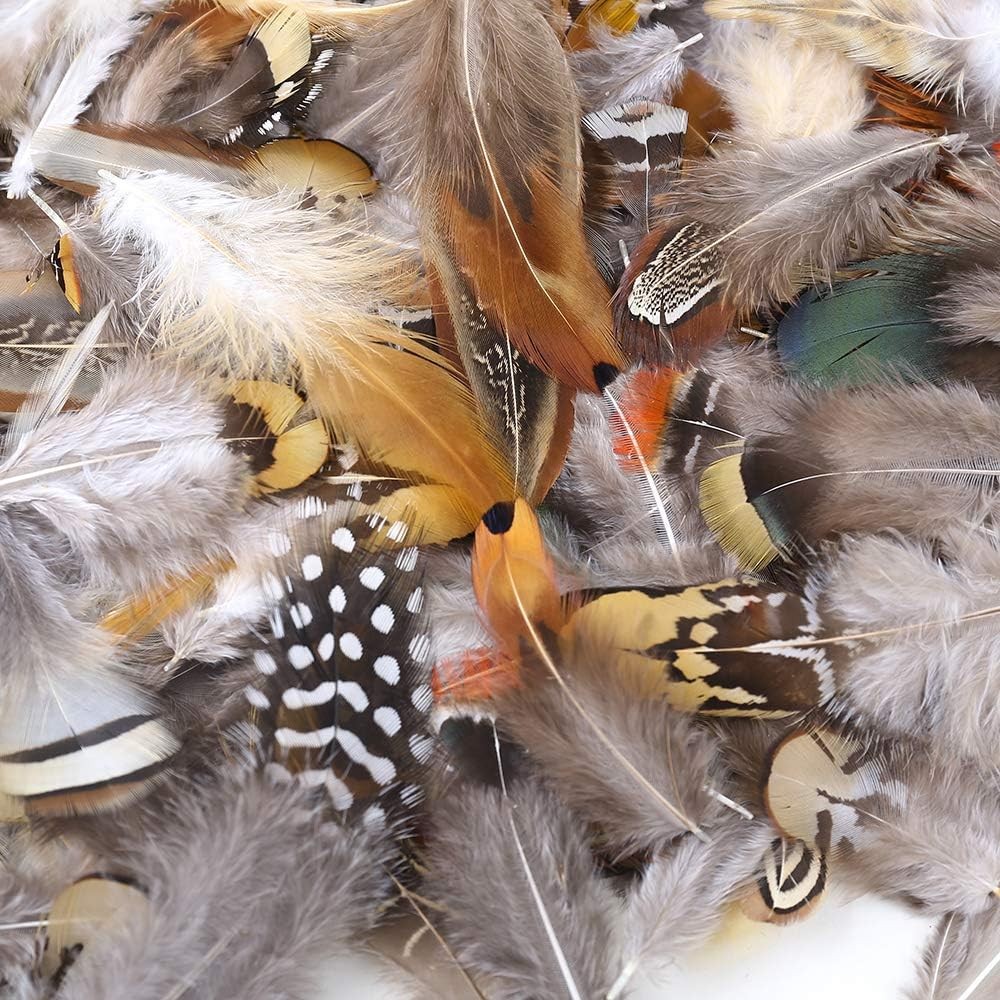 180pcs 9 Styled Natural Feathers Assorted Mixed for 9Styles/180Pcs