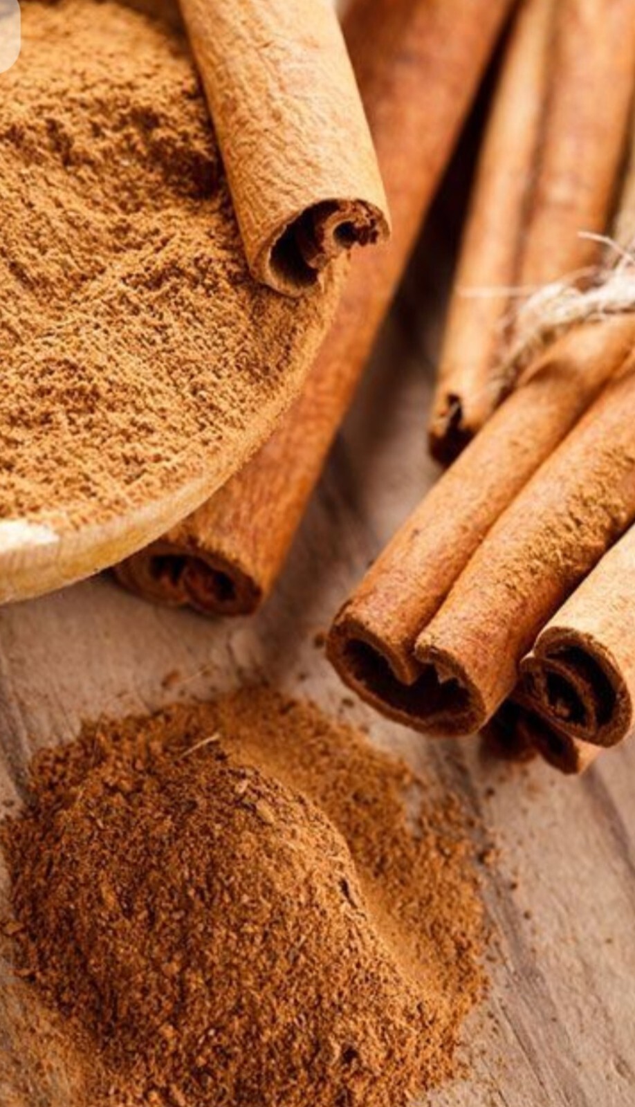 Cinnamon Tree / Cinnamomum verum – 1 feet Aromatic Spice Plant / Live Tropical