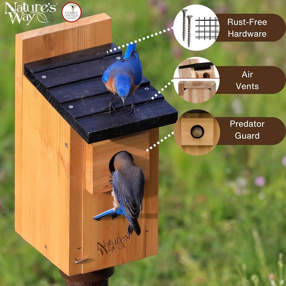 Innovative Cedar Bluebird Box with Clean-Out Door and Versatile Mounting Options