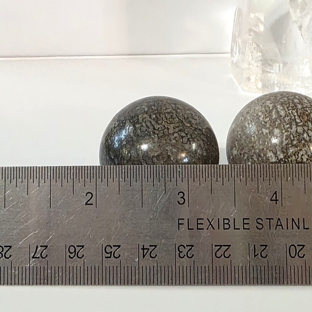 Dinosaur Bone Sphere #1- WYSIWYG