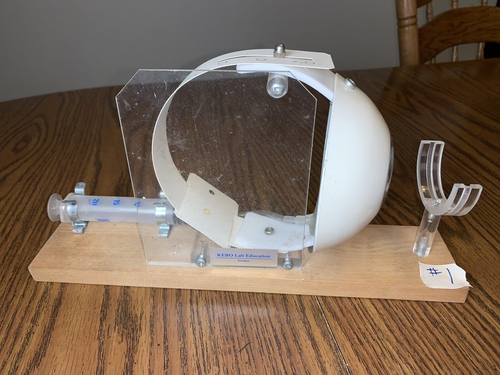 Leno Lab Sweden Functioning Eye Model Educational Tool Optometrist School #1