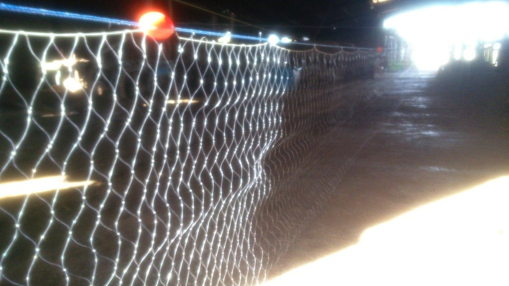 Gill Net/Survival Net/Multi Species Catch Net 50 ft Long/4"mesh