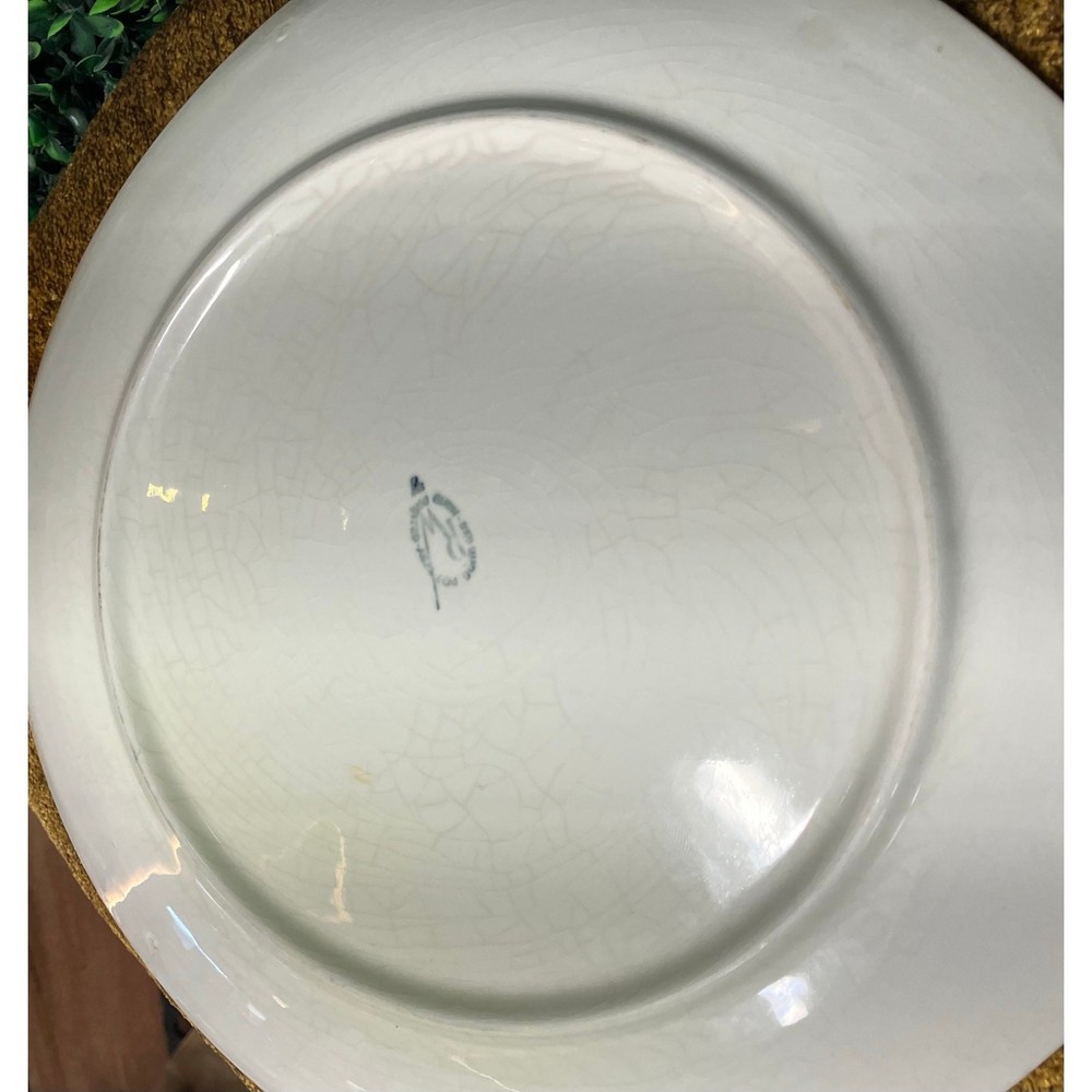Red Wing Lexington Rose Pattern Square Dinner Plates