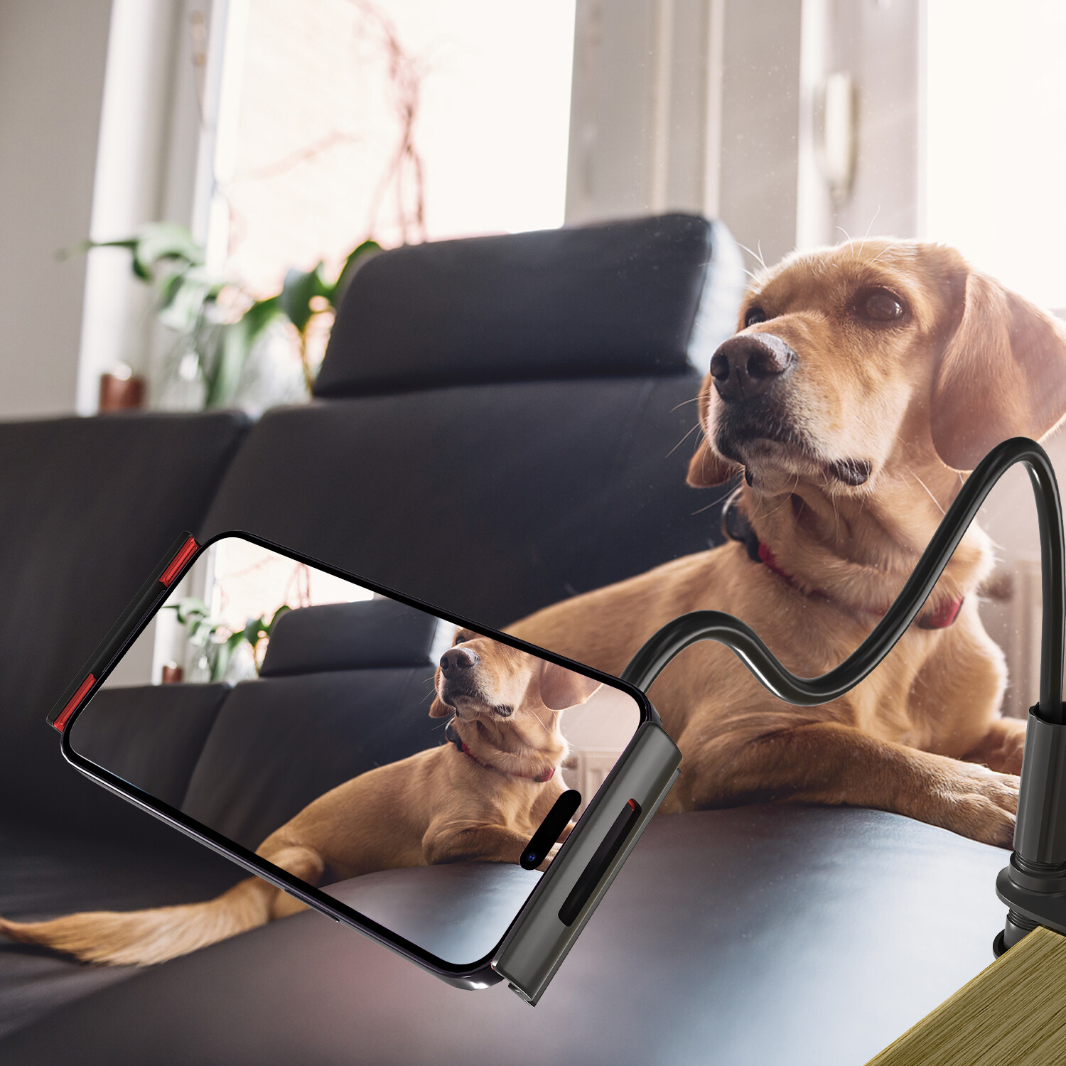 For Apple Samsung PAD Universal Lazy Mount 360º Flexible Gooseneck Tablet Holder