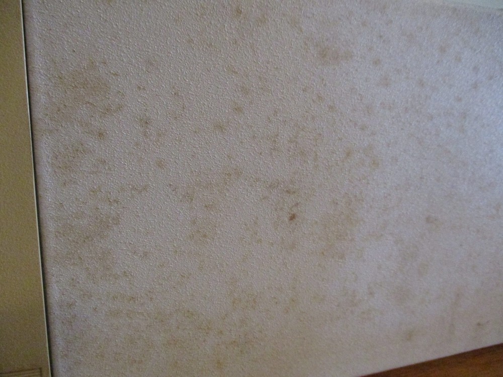 Vintage 1988 Computer Philips NMS 9100 Intel 8088 Powers Up Untested