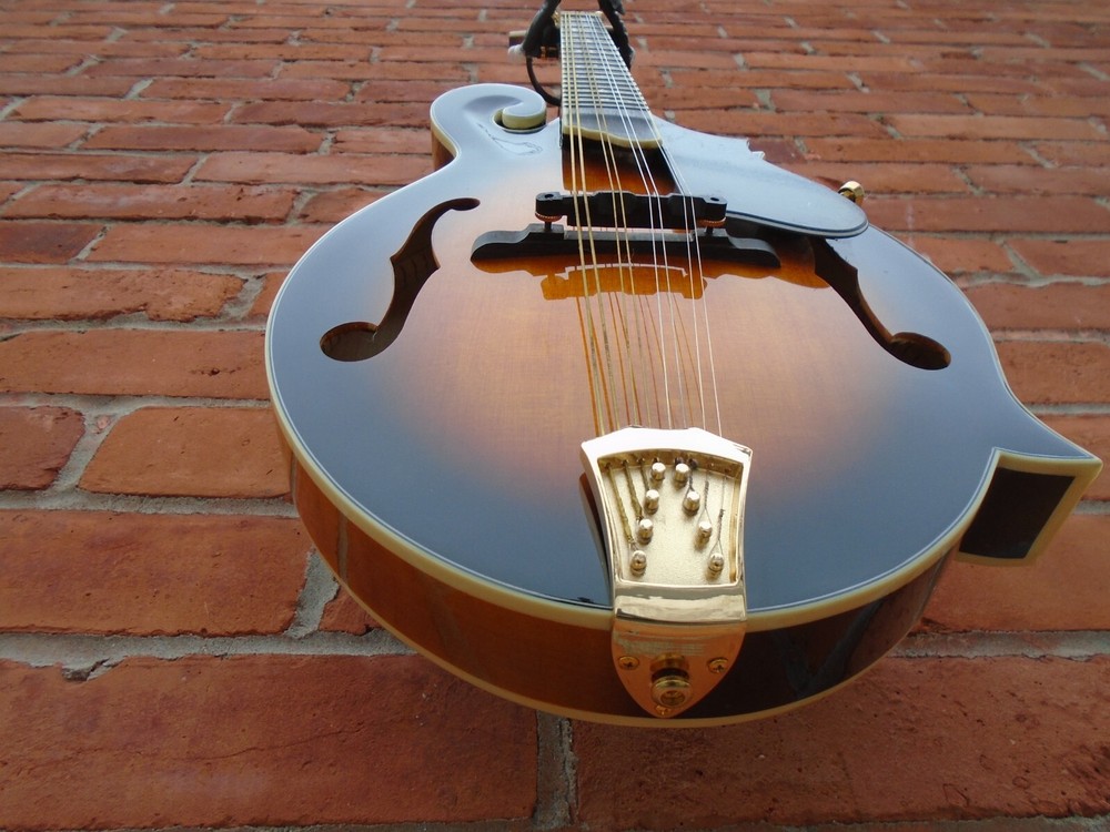 Gold Tone GM-70 Plus Mandolin, store demo