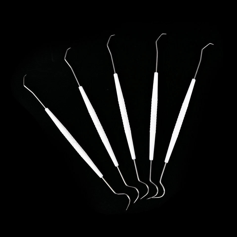 10 Pcs Dental Teeth Explorer Double End Instrument Probe Hook Basic Instruments