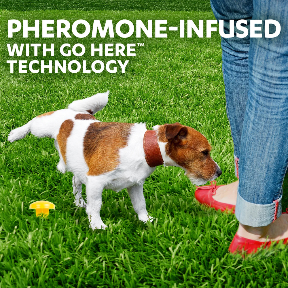 Simple Solution Pee Post Outdoor Dog Potty Training Aid – 13" Pheromone Stake