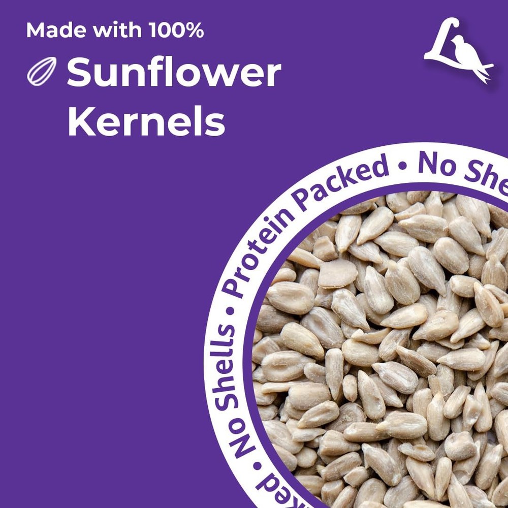 Sunflower Kernels Wild Bird Seed for Outside 80 fl oz
