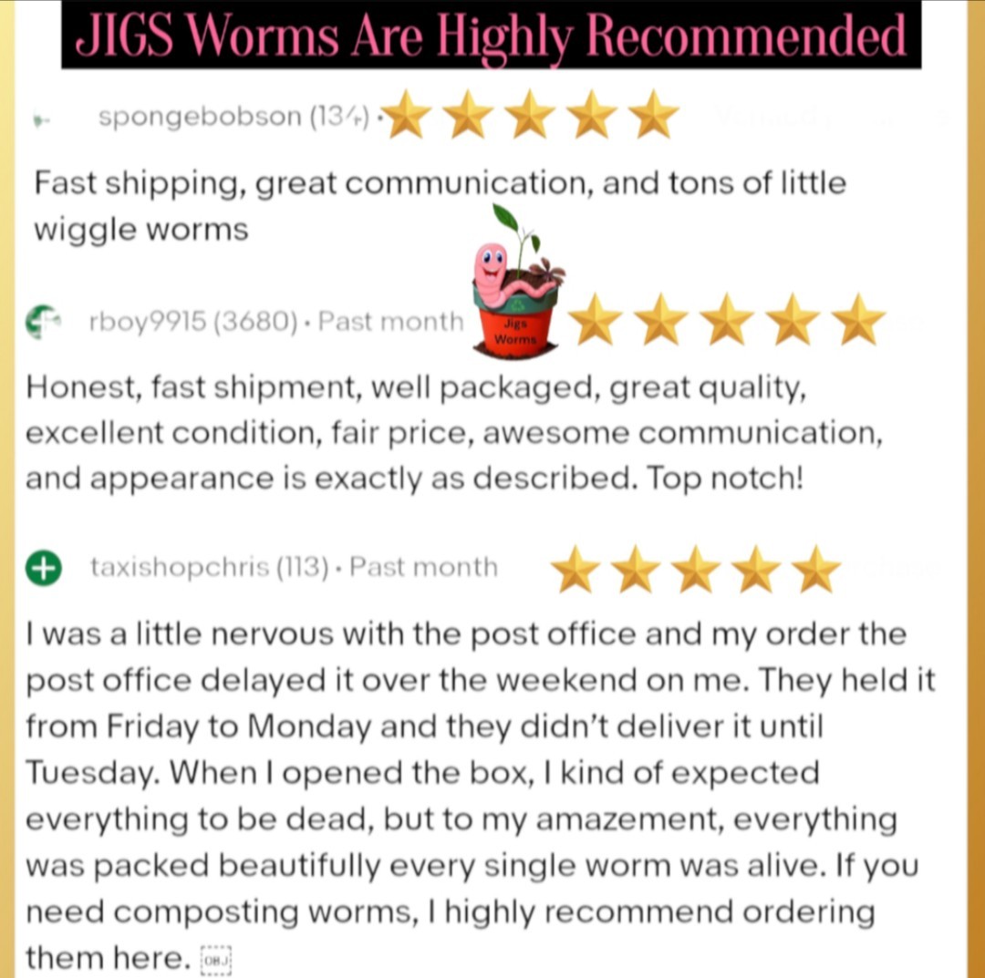 (JIGS) Live #1 Red Wigglers Composting Worm Mix, FREE SHIPPING! No Manure!
