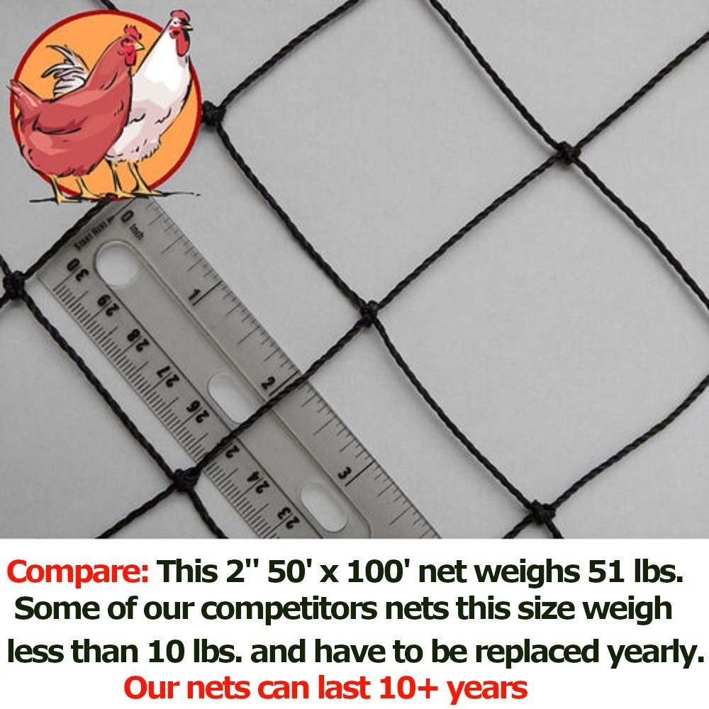 Poultry Netting 50' x 100' 2" Mesh Heavy Knotted Aviary Hawk Stop Bird chicken