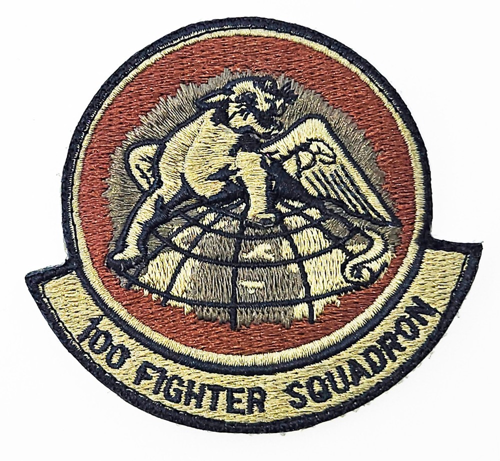Air Force 100th Fighter Squadron Spice Brown Hook Back Patch