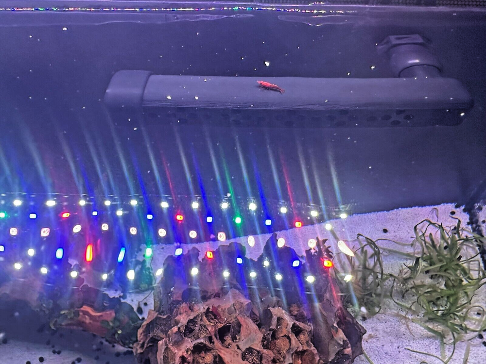 Fluval Flex Low Flow Spray Bar | Perfect Flow for Shrimp