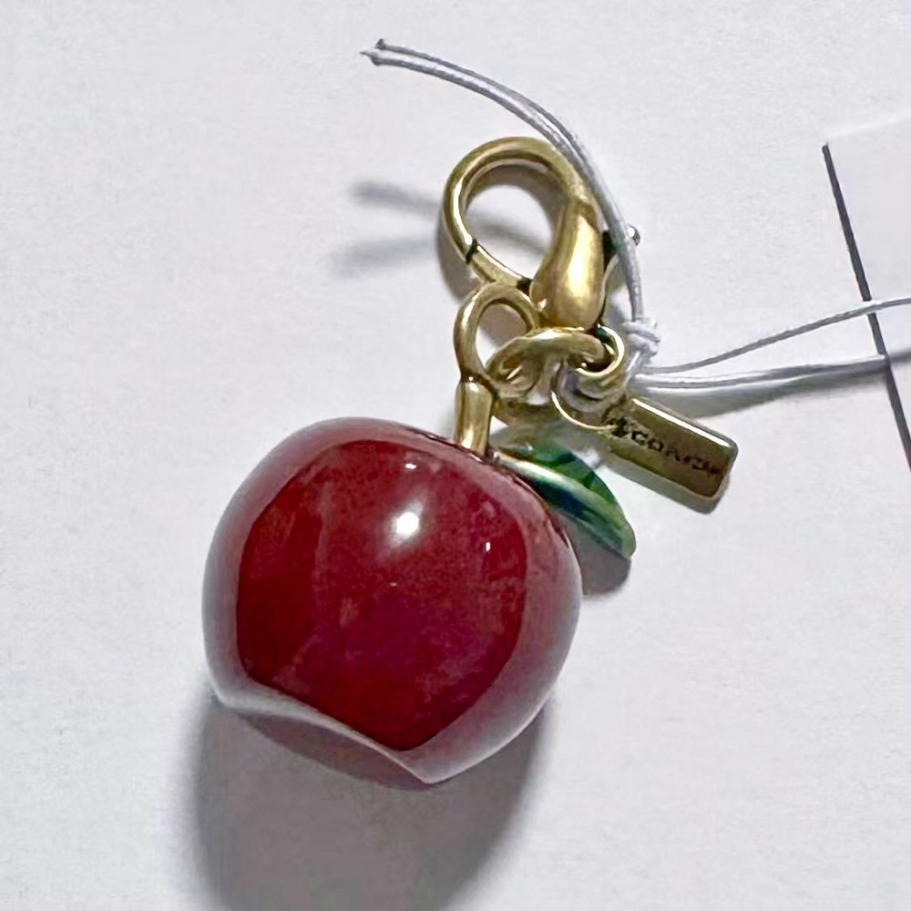 Nwt Coach mini DIY Apple charm CCX70
