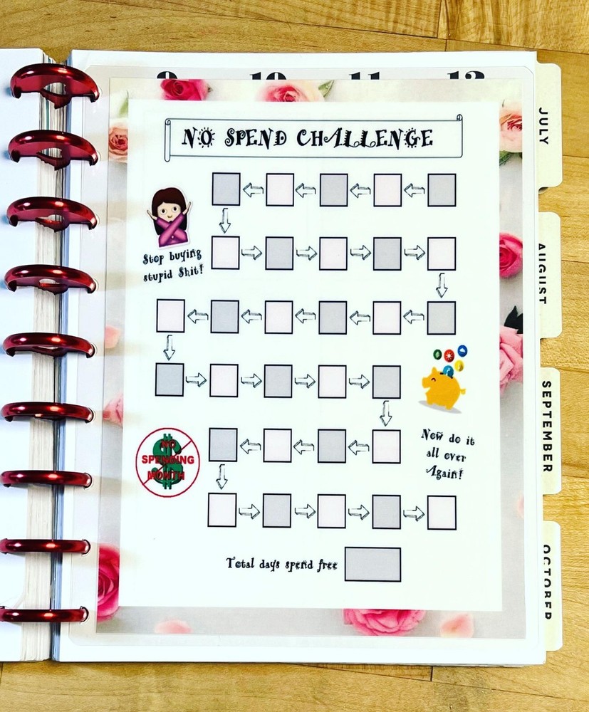 No Spend Challenge Two Sided Dashboard Insert 4 use with Classic Happy Planner-
