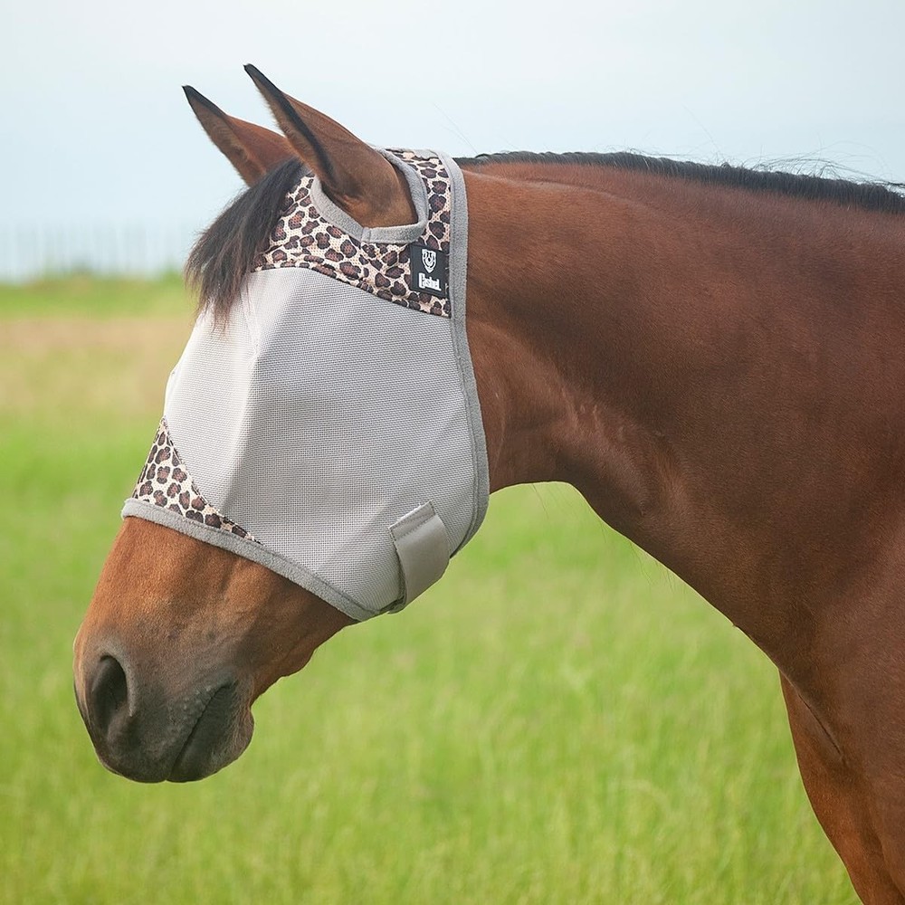 Crusader Fly , Standard (Leopard, Arabian)