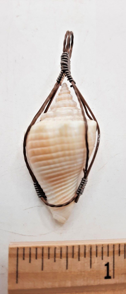 Small Conch Shell Wire Wrap 1 3/4 inches