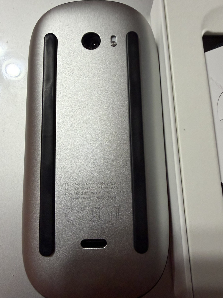 Apple Magic Mouse Multi-Touch Surface (USB-C) - Wireless - Black