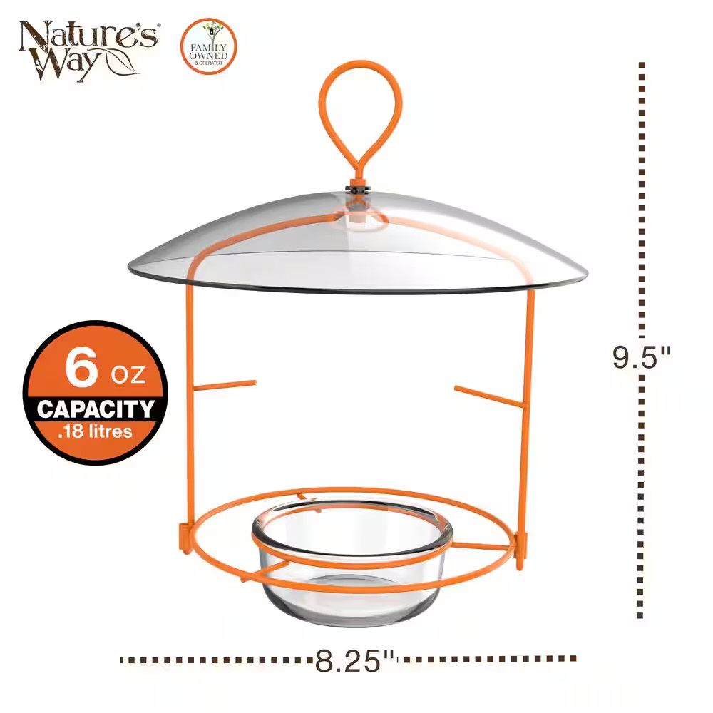 Oriole Wire Feeder 3/4 Cup