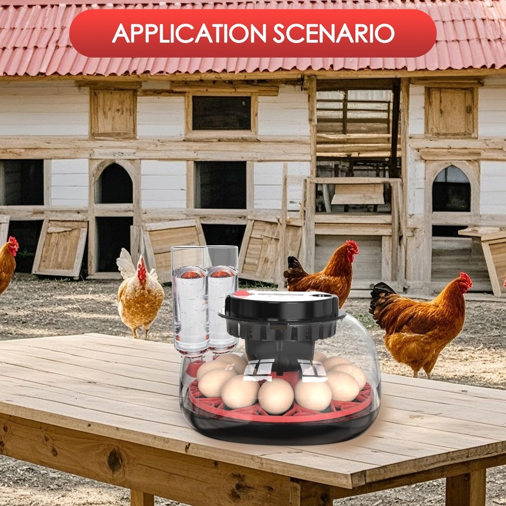 Incubators for Hatching Eggs Automatic Egg Incubator with Temperature Control