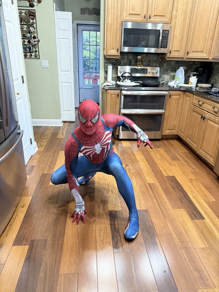 Spider-Man PS5 Costume
