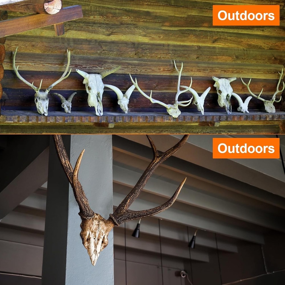 Adjustable skull wall mount hanger for deer display