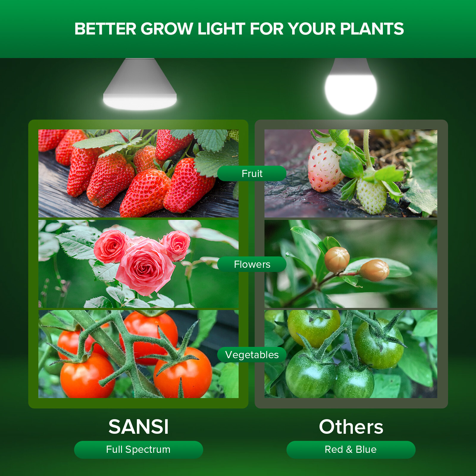 SANSI LED Grow Light Bulb 24W Full Spectrum with Red/Blue Marijuana Grow Lights