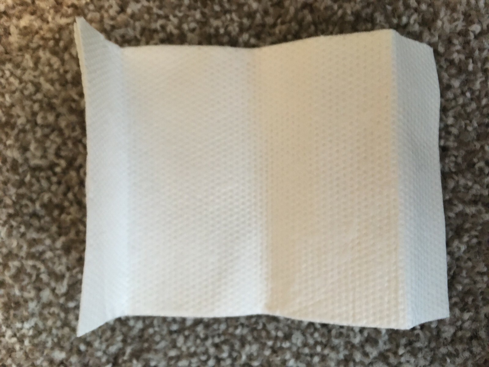 Emergency Mini Toilet Disposable 10x Urine Bags 700cc with Travel Bag NEW