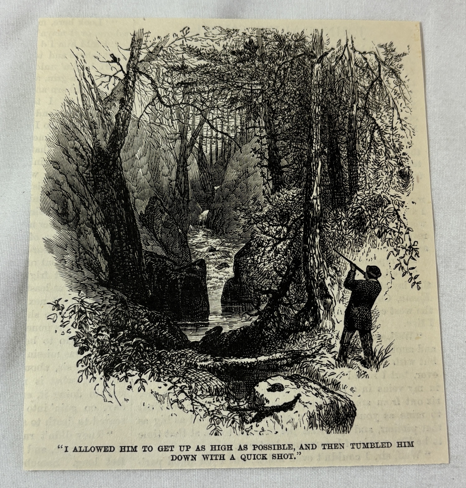 1883 magazine engraving ~ MAN HUNTING SQUIRREL BY A STREAM