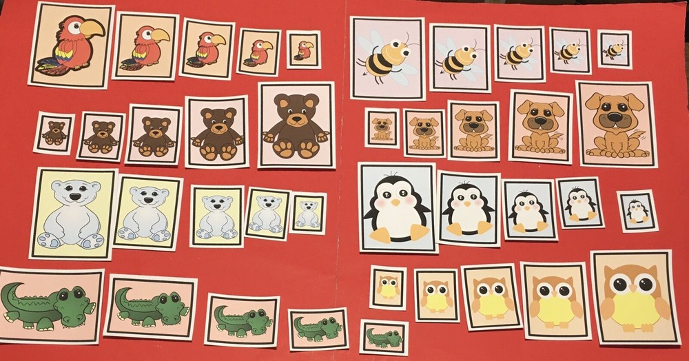 Laminated Sorting Cards - Size Sorting - 40 Cards Set