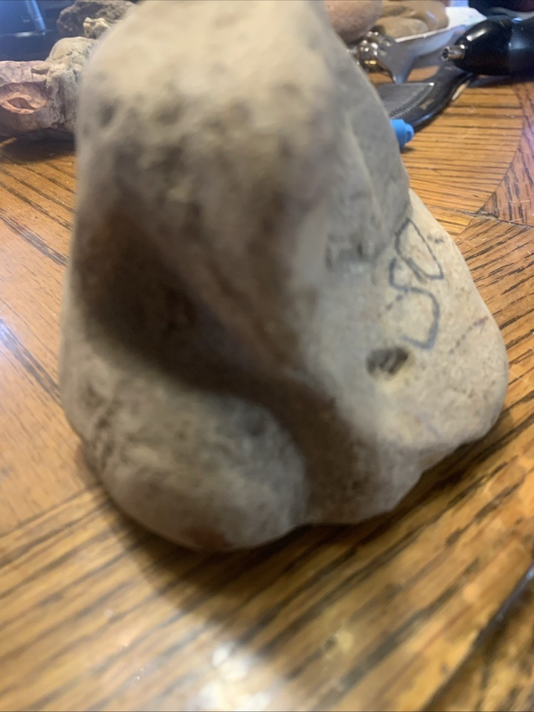 Fossils