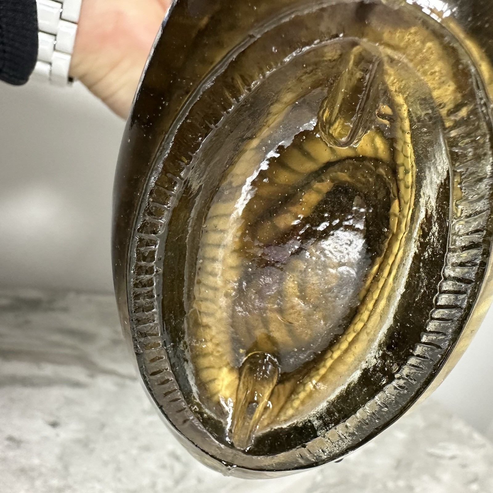 Cobra Snake And A Scorpion In A Glass Bottle 7" Tall - Snake Wine?