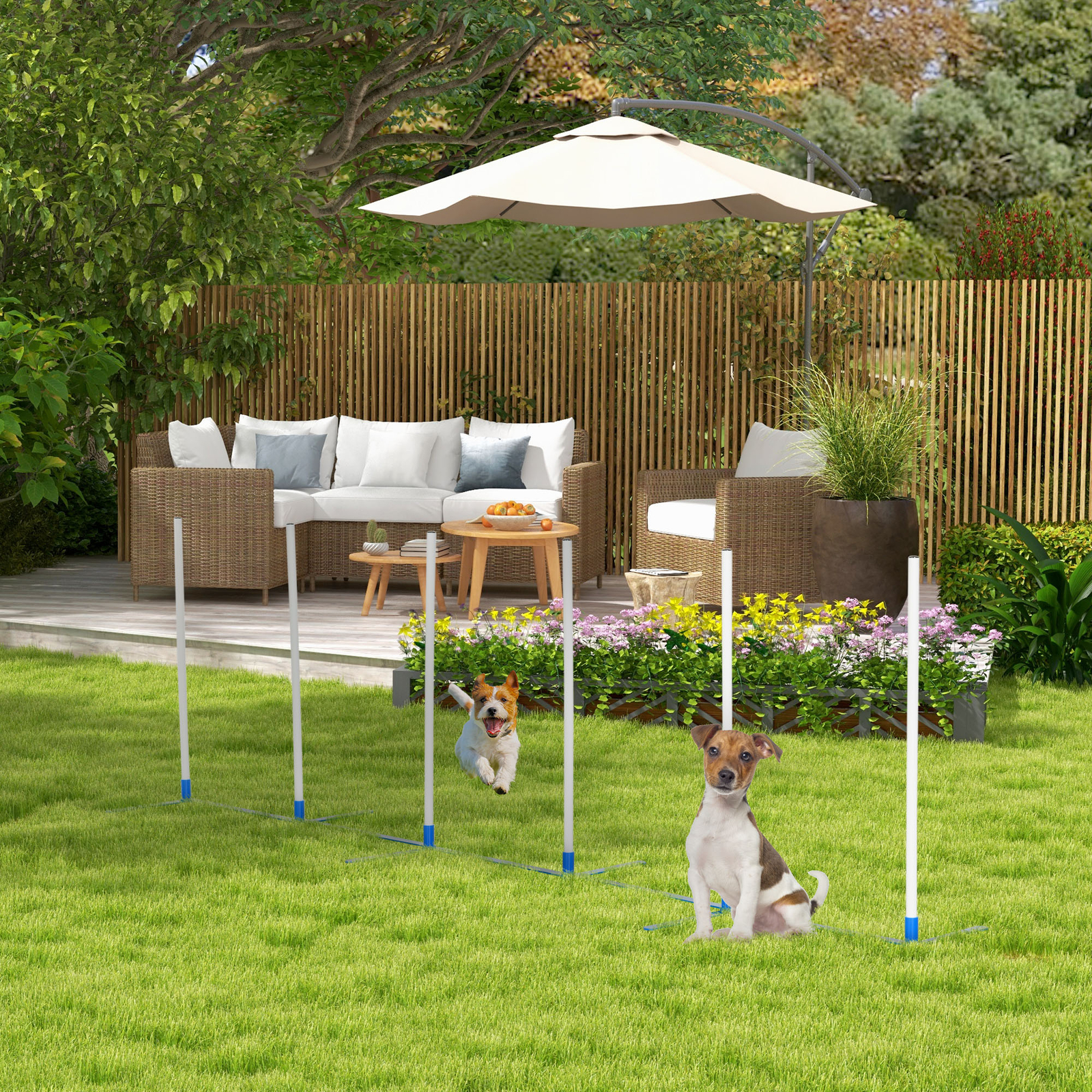 Dog Weave Pole Set Agility Starter Kit Pet Outdoor Exercise Training Set