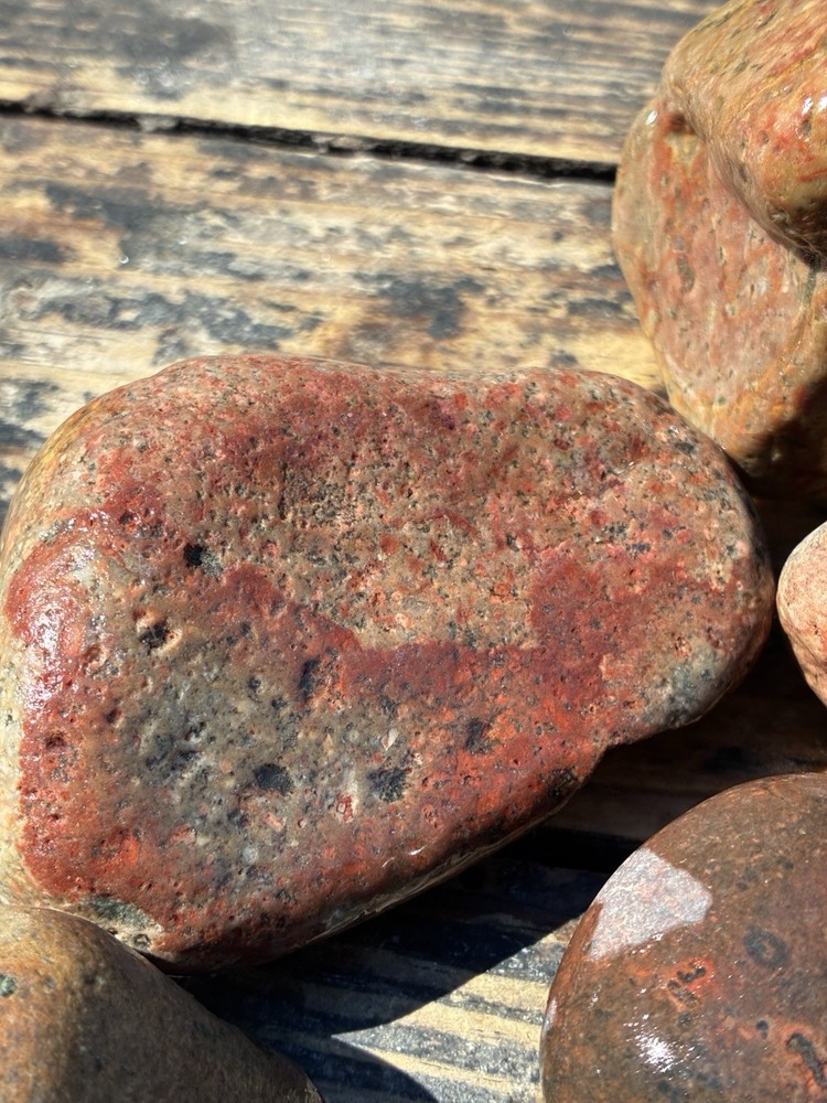 JASPER~ Solid ~Rocks For Sale Rough 3 Lbs