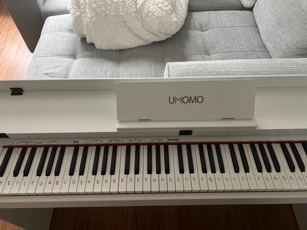 88 key digital piano weighted keys (white)
