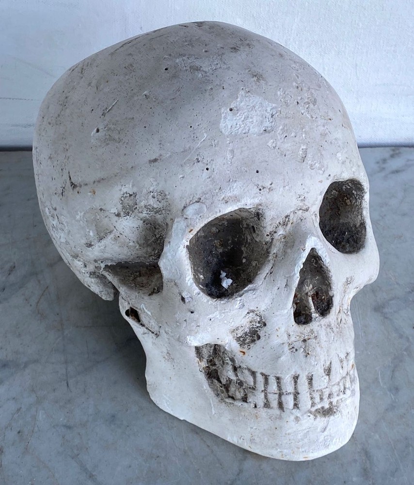 Vintage Solid Plaster Human Skull Head Model. Life Size. RARE