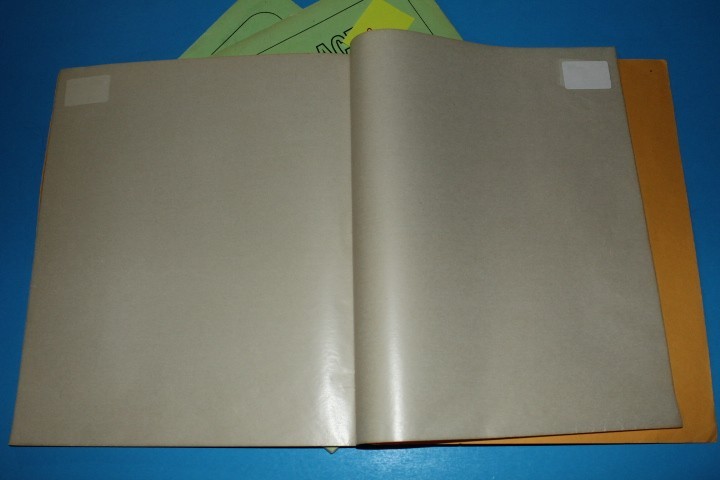 White Ace Mint Sheet File Capacity 14 pgs 1 pocket 12" x 9.75" BlueLakeStamps