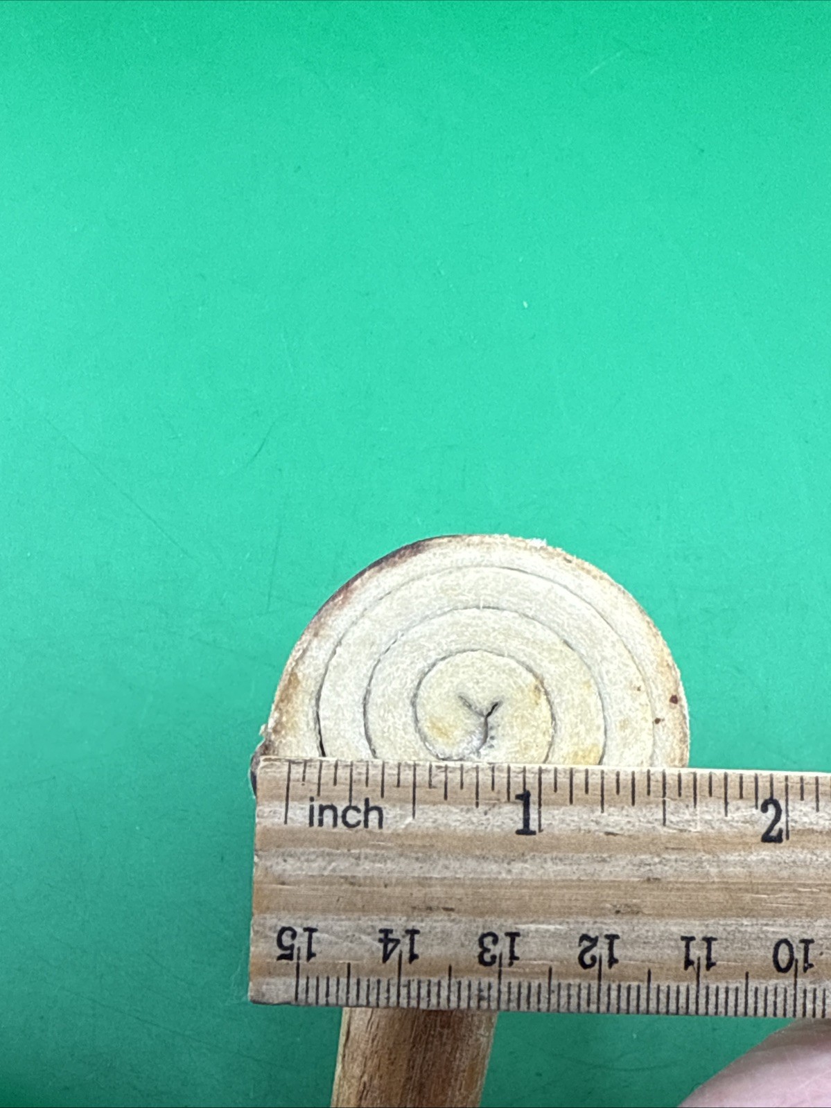 Rawhide Mallet 8.2 oz Total Weight 1-3/4”x3" 11-1/4” Long Medium size See Photos