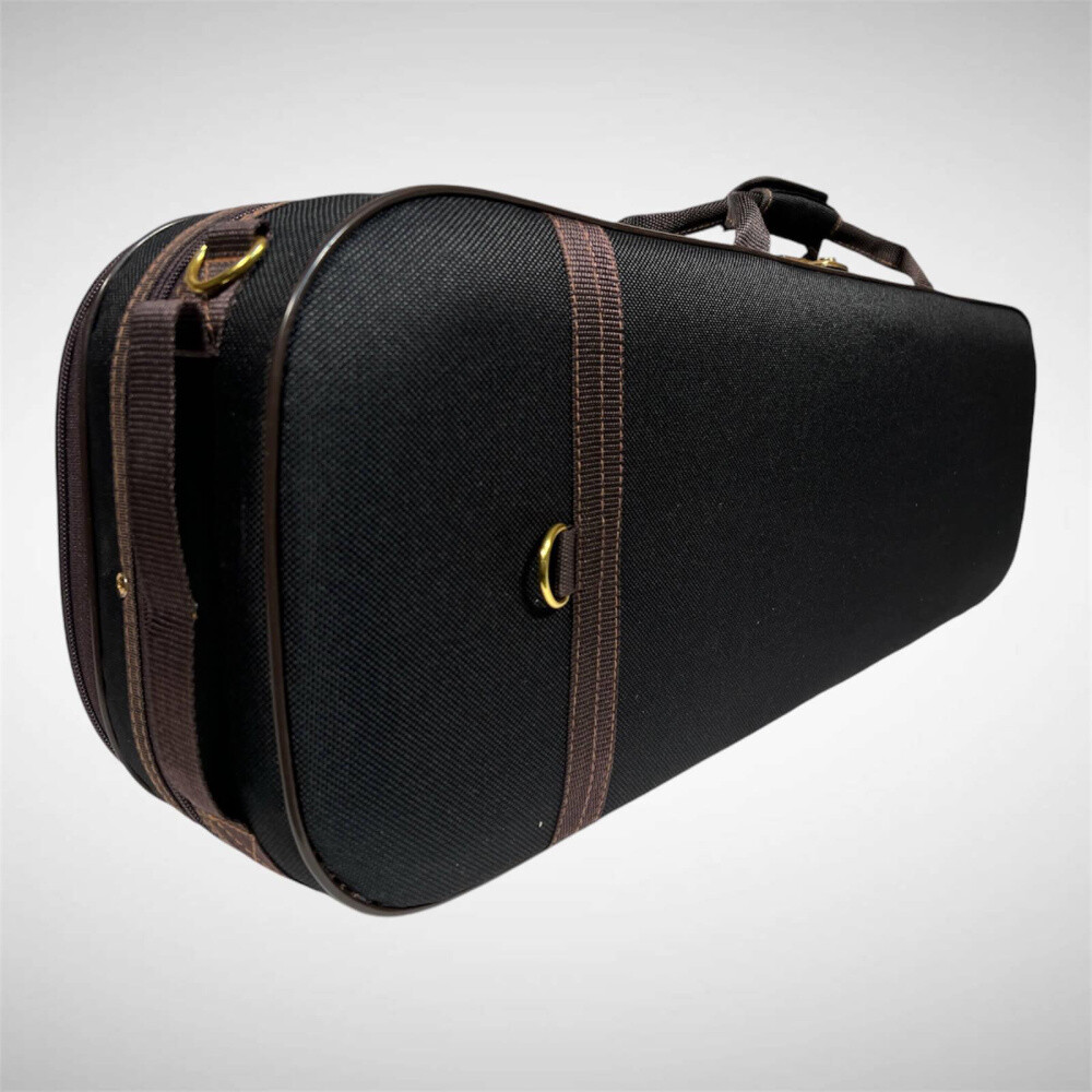 Petz 100VN case (case) for violin (violin)