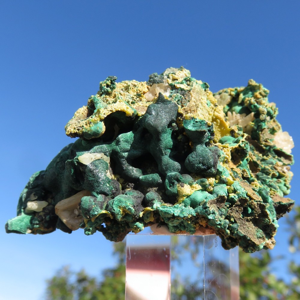 Minerals *** GREAT VELVETY MALACHITE Congo