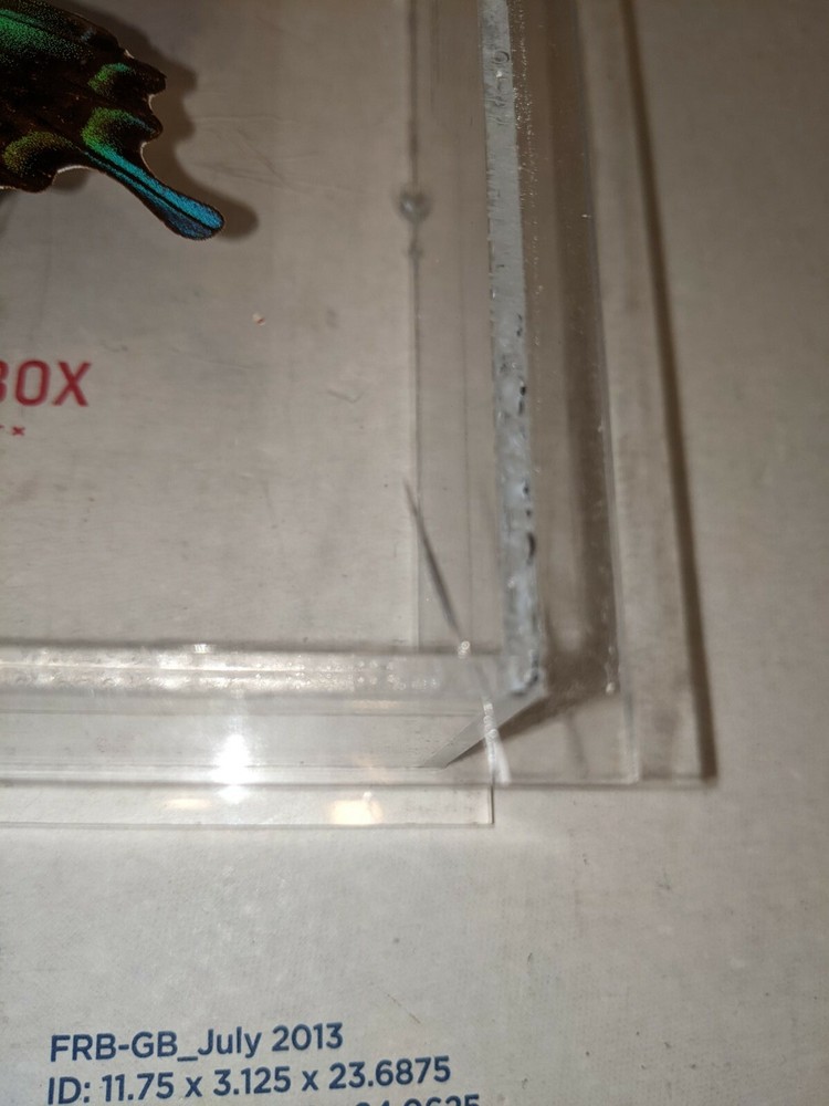 Real 3D Framed Butterfly in Acrylic Frame Box