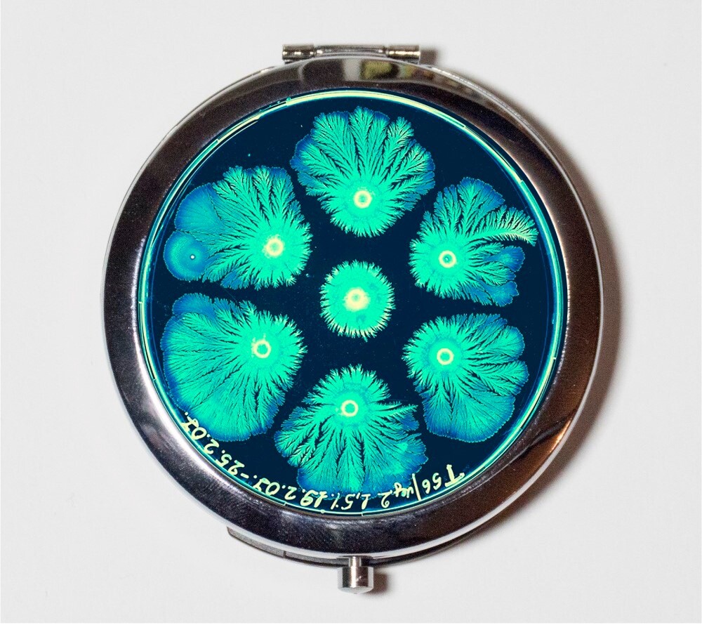 Microscope Slide Biology Compact Mirror Make Up Pocket Mirror Cosmetics