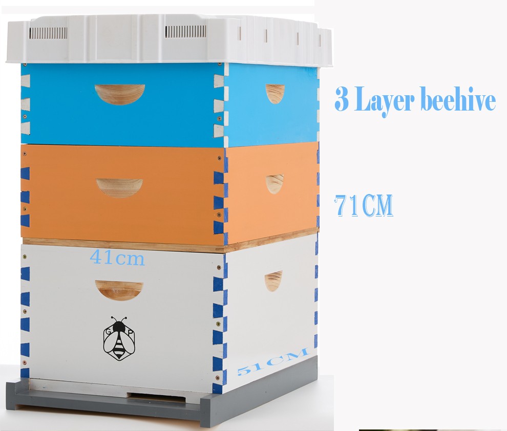Beehive Langstroth 30 Wooden Frame Box Kit With Painting Boxes, 2 Deep 2 Medium