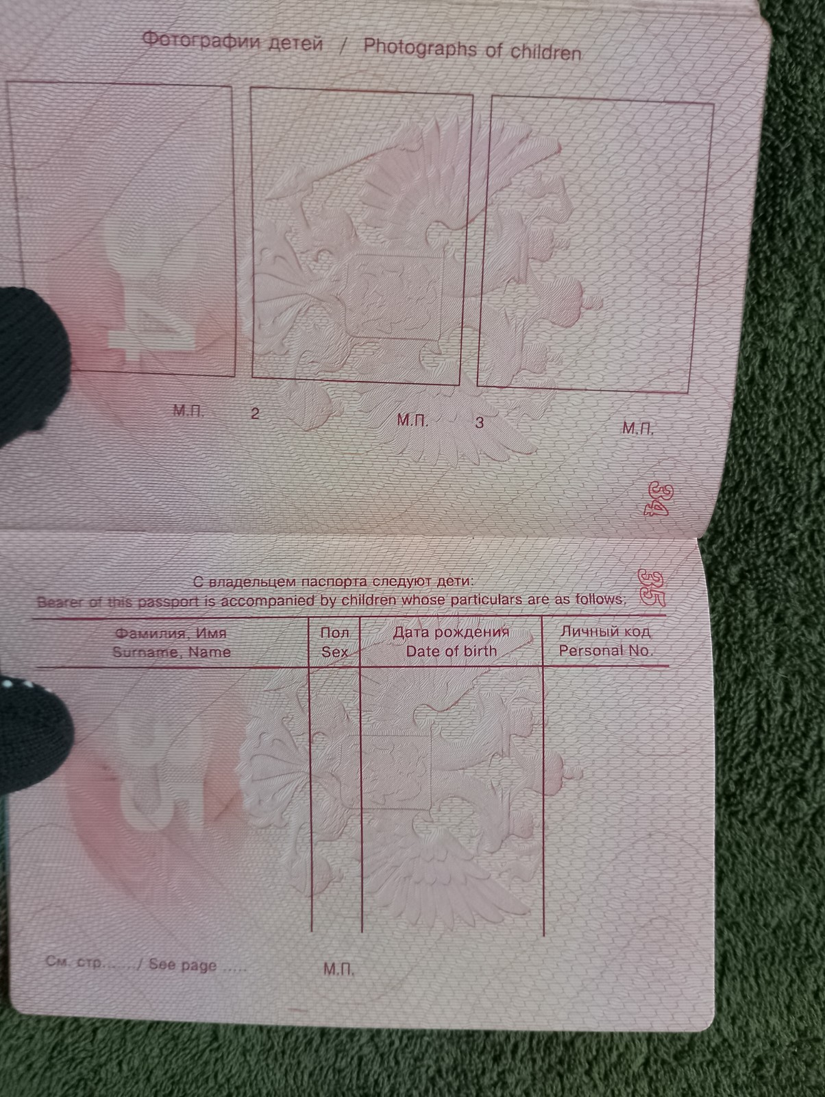 Two foreign travel passports belonging to a female Russian citizen.