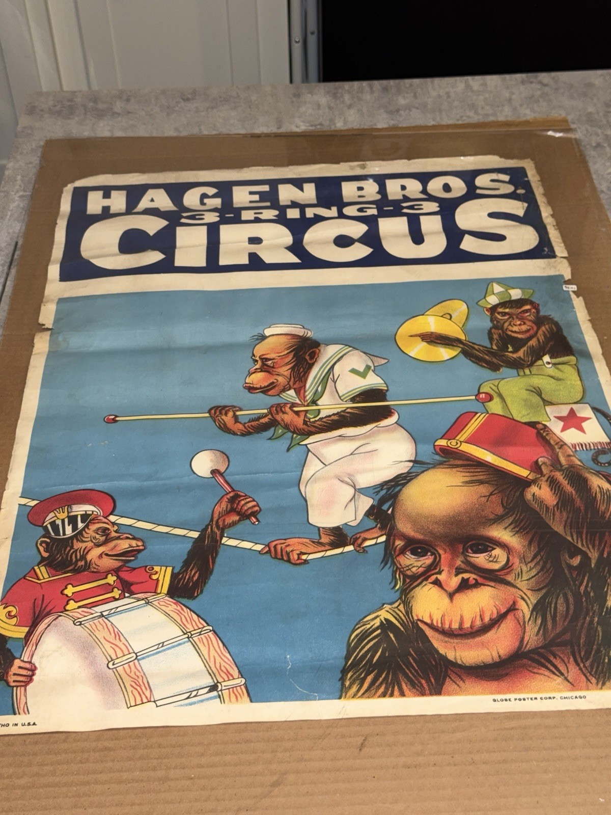 GLOBE Vintage Antique 1950S Litho Usa Circus Poster Evil Looking Monkeys Great